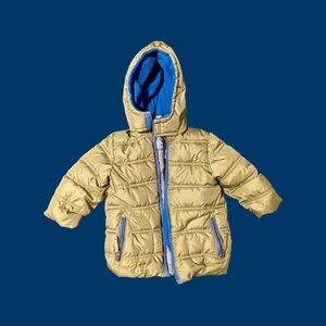 Toddler Puffer Jacket